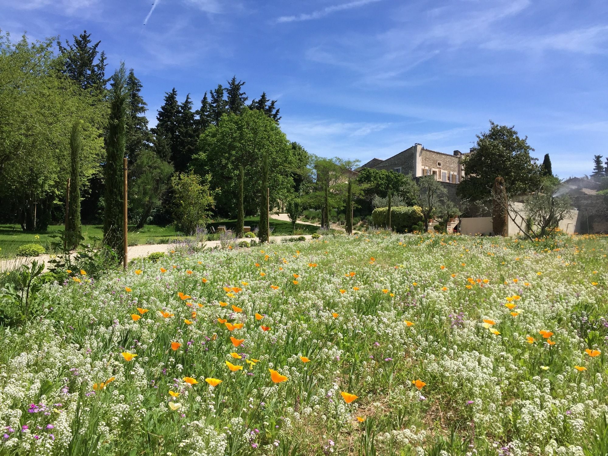 Hotel Domaine Les Martins - Gordes Zewnętrze zdjęcie